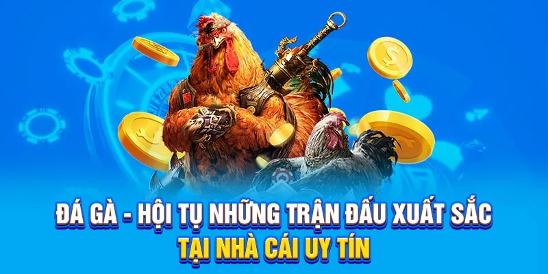 Đá gà